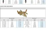 Ficha técnica e vista explodida — Bicos de Corte para Maçarico MOD. 46 / 53